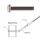 Stainless Steel Rounded Head Screw M6